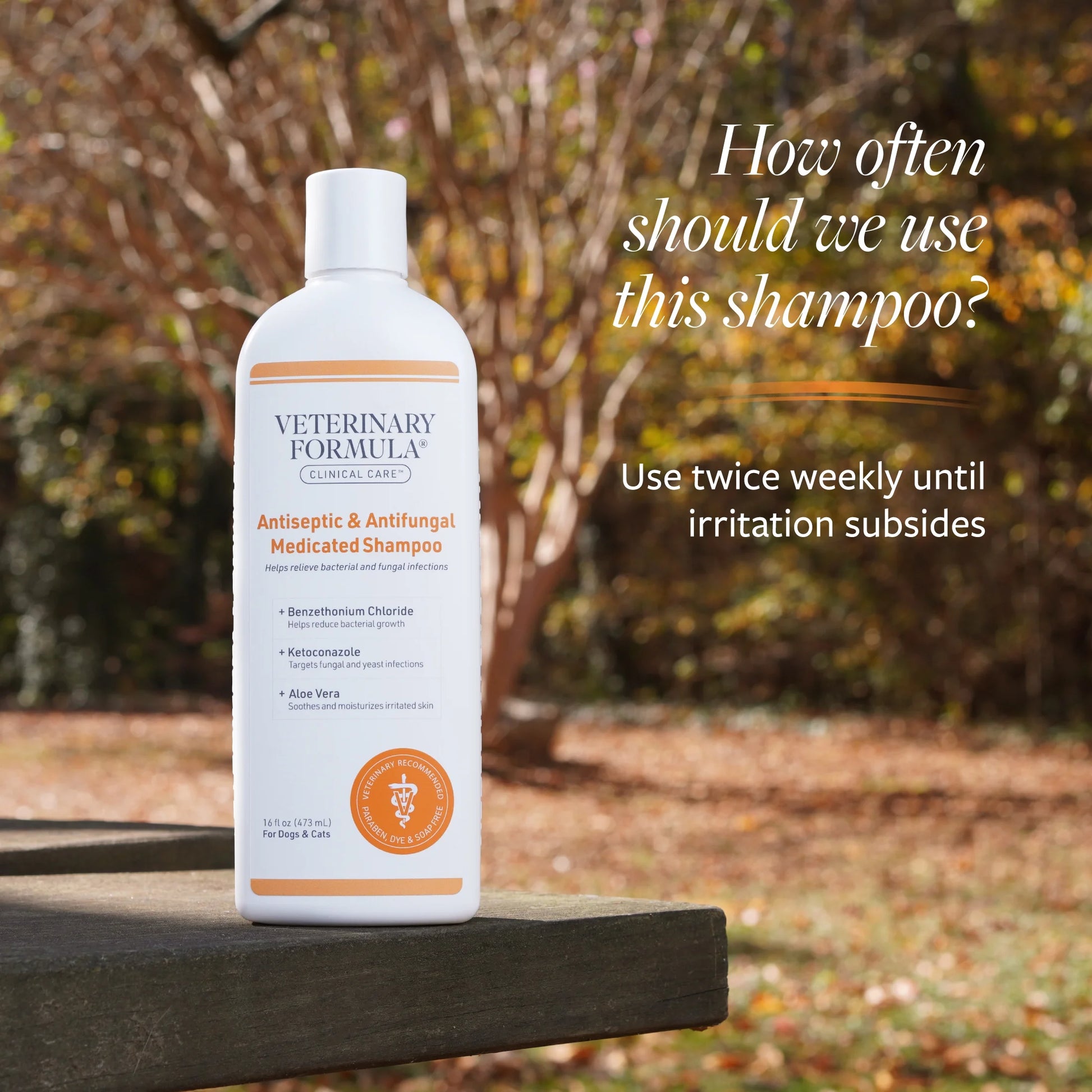 Clinical Care Antiseptic & Antifungal Shampoo for Dogs & Cats, 16 Oz.